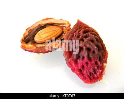 Pfirsich und Pfirsich Samen Stockfoto
