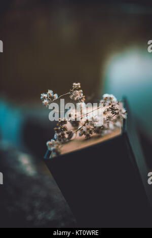 Getrocknete Blumen in Book. Wer nicht Blumen? Stockfoto