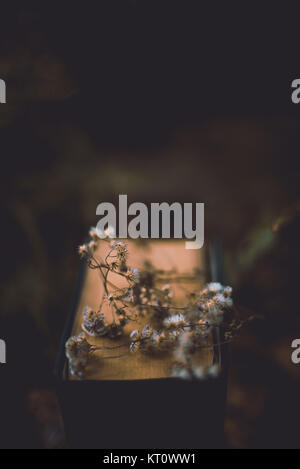 Getrocknete Blumen in Book. Wer nicht Blumen? Stockfoto