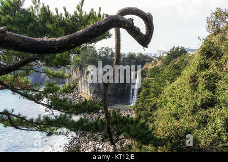 Jeongbang Wasserfall Stockfoto