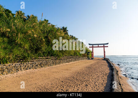 Torii in Aoshima Schrein von aoshima Insel Stockfoto