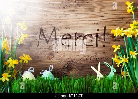 Holz- Hintergrund mit französischen Text Merci bedeutet. Vielen Dank. Ostern Dekoration wie Ostereier und Osterhasen. Sonniges Gelb Spring Flower Narcisssus mit Gras. Karte für Seasons Greetings Stockfoto