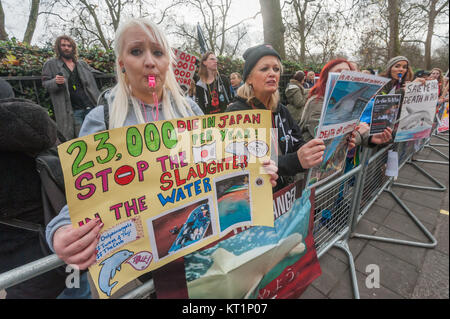 Eine Frau bläst ein Pfeifen, als sie ein Plakat für ein Ende der slaugher von 23.000 Delphine jedes Jahr in Japan in der protestopposite der Japanischen Botschaft hält. Stockfoto