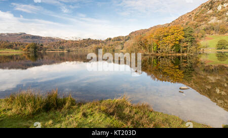 Bäume im Herbst Farben spiegeln sich in Rydal Wassersee, eingebettet unter schneebedeckten Bergen, im englischen Lake District National Park. Stockfoto