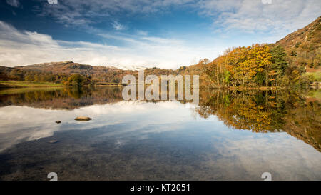 Bäume im Herbst Farben spiegeln sich in Rydal Wassersee, eingebettet unter schneebedeckten Bergen, im englischen Lake District National Park. Stockfoto