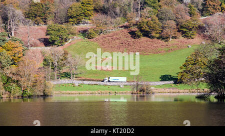 Ambleside, England, Großbritannien - 11 November, 2016: eine Kooperative Supermarkt Lieferung Lkw Skipässe Herbst Farben bei Rydal Wasser See auf den ländlichen Raum A591 Straße Stockfoto