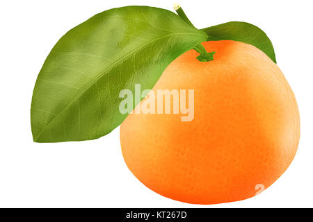 Isolierte Persimmon. Eine Kaki Frucht mit weißem Hintergrund mit Freistellungspfad Stockfoto