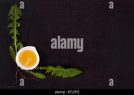 Löwenzahnhonig Stockfoto