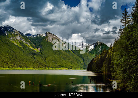 Den Chilliwack See in den Kamloops Lake Provincial Park, British Columbia, Kanada Stockfoto