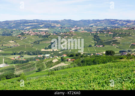 Piedmont Hügeln mit Weinbergen an einem sonnigen Tag in Italien Stockfoto