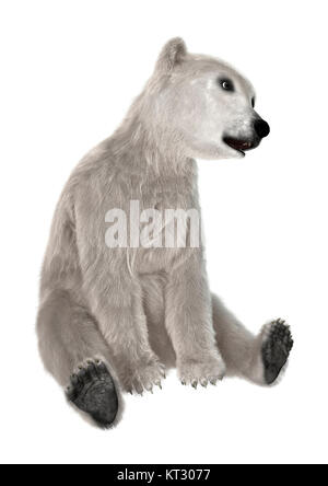 3D-Rendering Polar Bear Cub auf Weiß Stockfoto