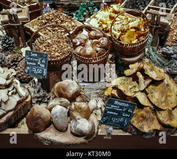 Viele verschiedene essbare Pilze in Körben auf Food Market. Gourmet Essen. Herbst Pilze. Stockfoto