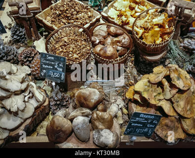 Viele verschiedene essbare Pilze in Körben auf Food Market. Gourmet Essen. Herbst Pilze. Stockfoto