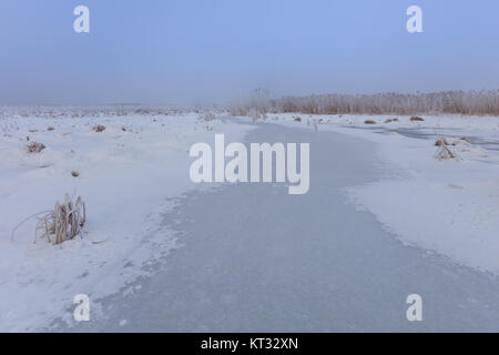 Comana See im winter Stockfoto