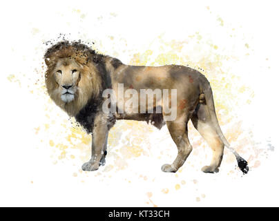 Lion Aquarell Stockfoto