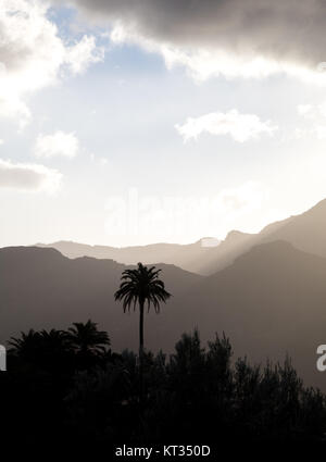 Palmen und nebligen Bergen im Hintergrund, bewölkter Himmel oben. Bild vertikal Stockfoto