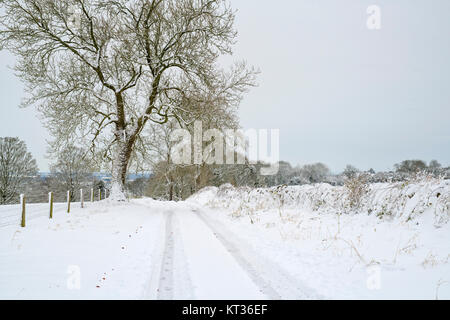 Schneebedeckte Landstraße in chedworth Dorf im Dezember. Chedworth, Cotswolds, Gloucestershire, England Stockfoto