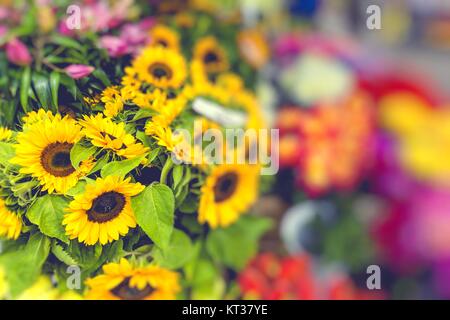 Blumenmarkt in Riga, Lettland Stockfoto