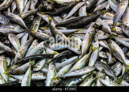 Fischmarkt, Galata Waterfront, Istanbul Stockfoto