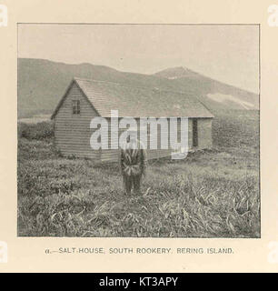 Das Salt-House at South Rookery auf Bering Island im russischen Fernen Osten ist ein Beispiel für historische Architektur in der Region. Es wurde zur Aufbewahrung von Salz verwendet, was für die Konservierung von Lebensmitteln unter den harten Bedingungen der Insel unerlässlich war. Stockfoto