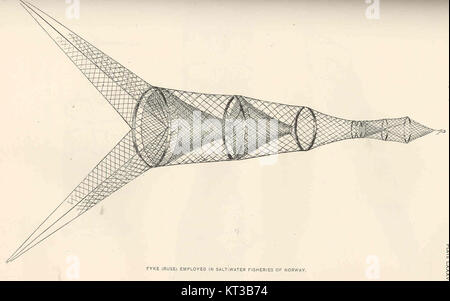 Dieses Bild zeigt die Fyke (Ruse)-Fallen, die in der Seefischerei in Norwegen eingesetzt werden. Diese traditionellen Fanggeräte sind ein integraler Bestandteil der norwegischen Küstenfischerei. Stockfoto
