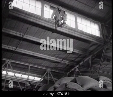 Ein Screenshot aus dem Trailer von „Panik in der Straße“, der einen angespannten Moment aus dem Film zeigt. „Panik in der Straße“ ist ein Film aus den 1950er Jahren über eine Krise der öffentlichen Gesundheit in New Orleans. Stockfoto