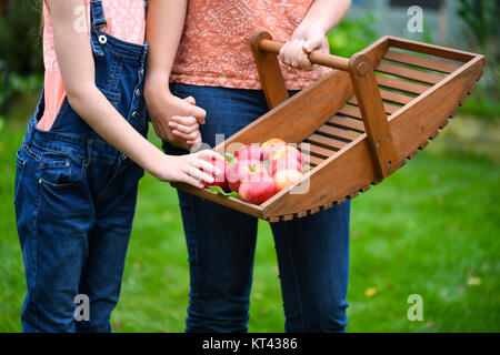 Mutter und Tochter sammeln Äpfel aus biologischem Obst Baum auf einer kleinen Holding, selektiver Fokus und bokeh Hintergrund Anzeige Kopie Raum Stockfoto