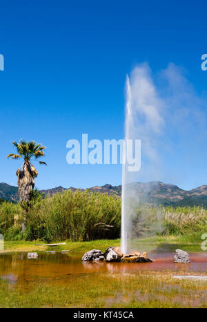 Old Faithful Geyser in Napa Valley, Kalifornien Stockfoto