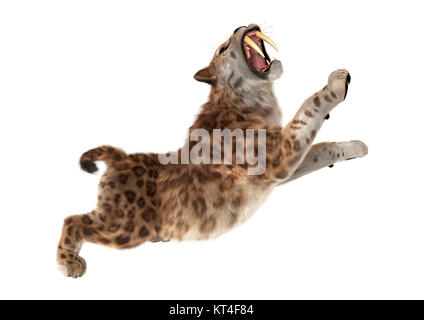 3D-Rendering Sabertooth Tuger auf Weiß Stockfoto