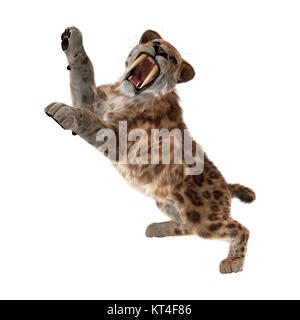 3D-Rendering Sabertooth Tuger auf Weiß Stockfoto