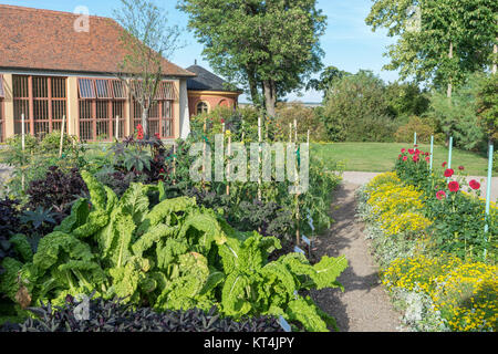 Vegetation und Ziergarten mit Orangerie des Schloss Belvedere in Weimar Stockfoto