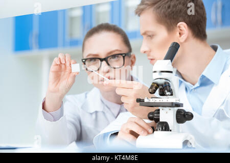 Konzentrierte sich junge Chemiker arbeiten mit Glas-Objektträger im Labor Stockfoto