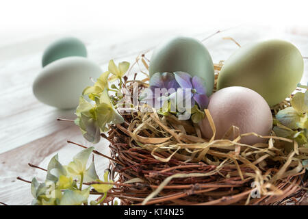 Ostereier im nest Stockfoto