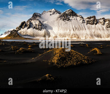 Goldene Gräser markieren tiefen schwarzen Sanddünen in der Expansiven Vordergrund Strand von Stokknes, Schnee, bedeckt Vestrahorn Stockfoto