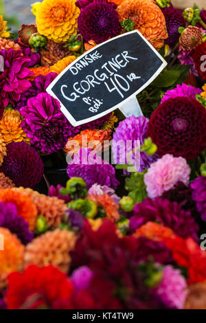 Bunte Blumensträuße Dahlien am Markt in Kopenhagen, Dänemark. Stockfoto