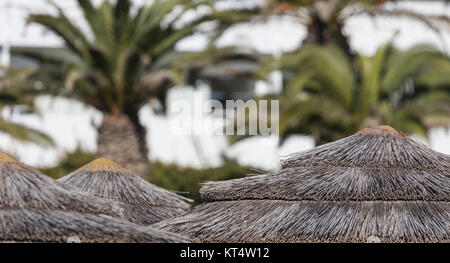 Detail der geflochtenen Sonnenschirme über Reihen am Strand in Zypern. Stockfoto