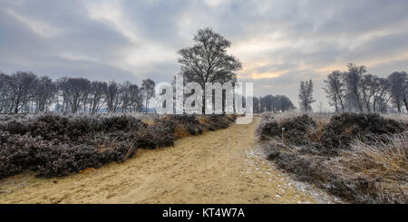Winter Sonnenaufgang über Trail durch den frostigen Heide mit Raureif in balloerveld Naturschutzgebiet Stockfoto