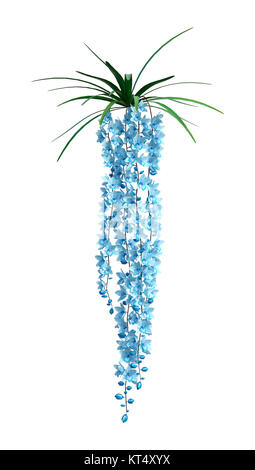 3D-Rendering Wild Orchid Blumen auf Weiß Stockfoto