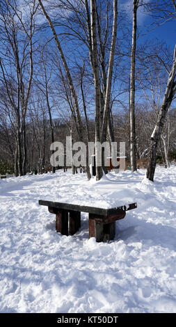 Schnee und Sitzbank in den Gehweg Wald Noboribetsu Onsen Stockfoto