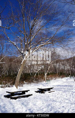 Schnee und Sitzbank in den Gehweg Wald Noboribetsu Onsen Stockfoto