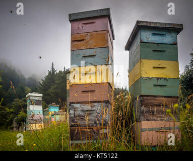 Bunte Vintage Holz- Bienenstöcke in Bergig Landschaft mit Bienen um Schwärmen Stockfoto