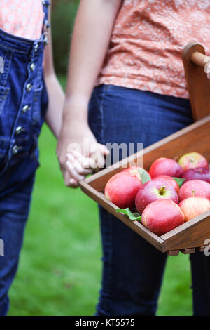 Mutter und Tochter halten sich an den Händen sammeln Äpfel aus biologischem Obst Baum auf einer kleinen Holding, selektiver Fokus und bokeh Hintergrund Anzeige Kopie sp Stockfoto