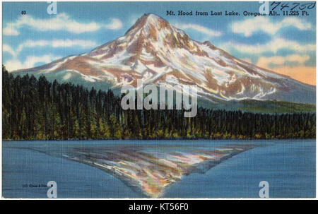 Mt. Haube von Lost Lake, Oregon, alt., 11,225 ft (74750) Stockfoto