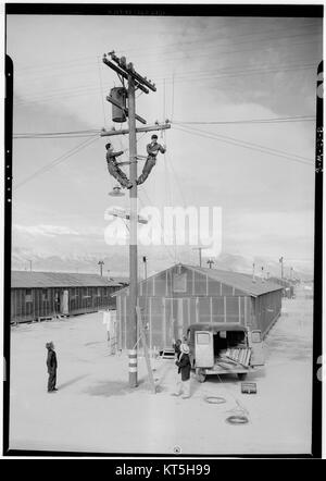 Foto von Ansel Adams, das eine Liniencrew zeigt, die während des Zweiten Weltkriegs im Manzanar war Relocation Center arbeitete. Adams hat die Not und Belastbarkeit der Japanisch-amerikanischen Internierten in diesem historischen Foto festgehalten. Stockfoto