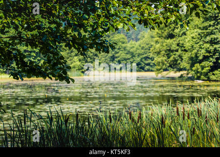 Black River Hancza in Turtul. Polen Stockfoto