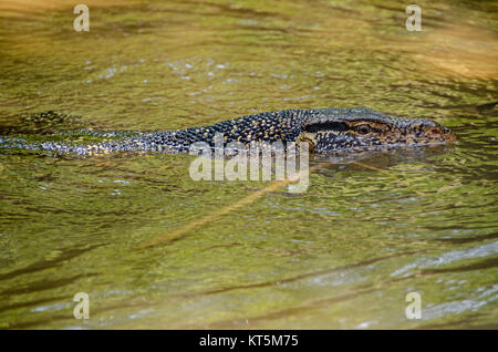 Sri lanka Stockfoto