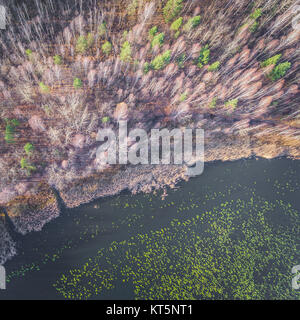 See und Wald im späten Herbst. Blick von oben. Polen. Stockfoto