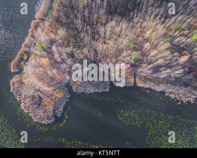 See und Wald im späten Herbst. Blick von oben. Polen. Stockfoto