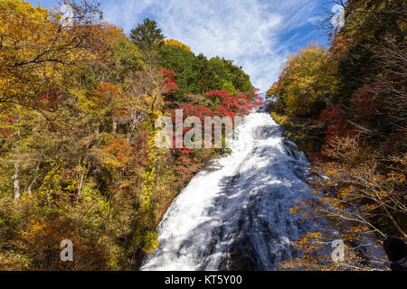 Blätter im Herbst bei Yudaki Wasserfällen Stockfoto