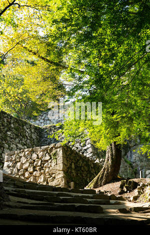 Bitchu Matsuyama Castle Wände in Okayama Stockfoto